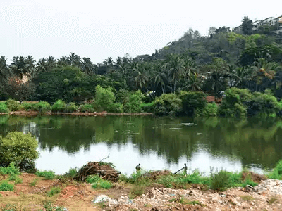 Lakes in Goa 11