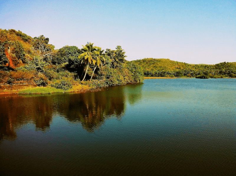 Lakes in Goa 8