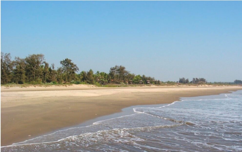 Nude beaches of Goa A place for adults to explore 2