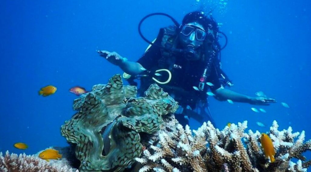Scuba Diving in Goa 7