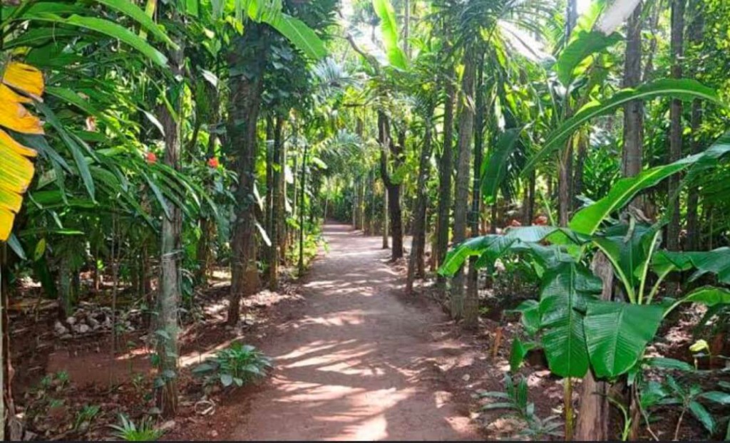 Trekking trails of Goa 9